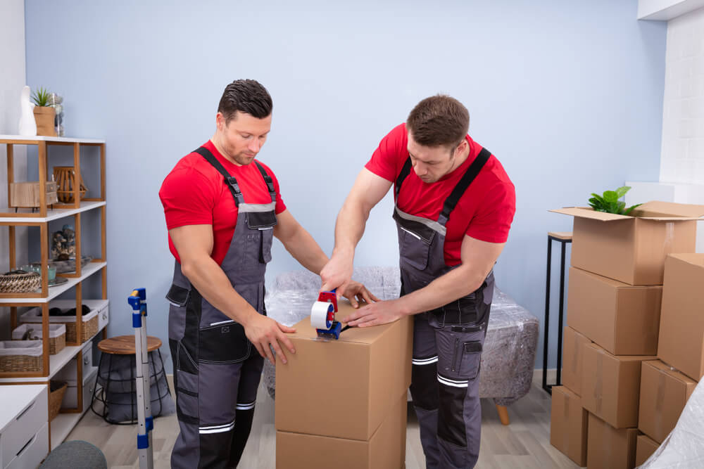Expert Packing Services