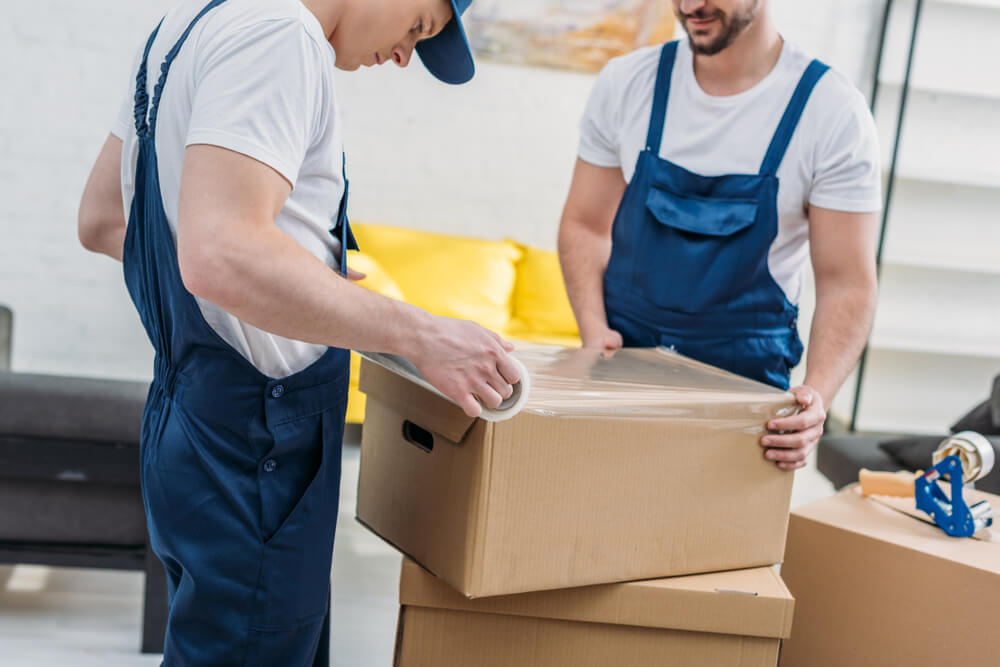 Experienced Moving Team